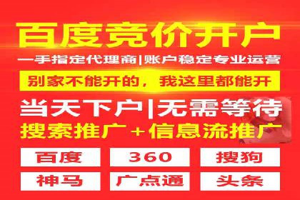 竞价排名关键词优化实战案例分析